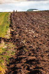 Cultivated field freshly ploughed by sunny day