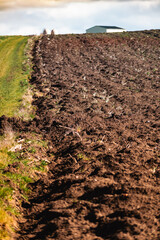 Cultivated field freshly ploughed by sunny day