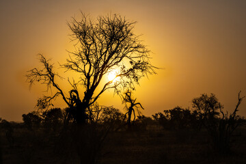 sunrise over Africa to dream