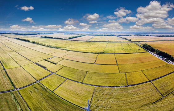 Heilongjiang farm rice aerial fall ten thousand mu of rice