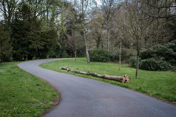 Winding track road surrounded by trees in a forest park