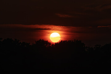 Obraz premium The Sun at sunset over the trees close-up. Photographed with a telephoto lens