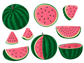 Set of watermelons, whole, half and slices. Green striped berry with red pulp and brown seeds. Vector illustration
