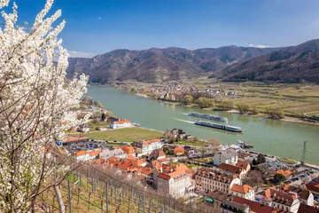 Foto op Plexiglas Spitz village with ships on Danube river in Wachau valley (UNESCO) during spring time, Austria © Tomas Marek