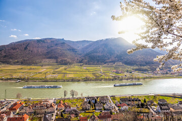 Spitz village with ships on Danube river in Wachau valley (UNESCO) during spring time, Austria