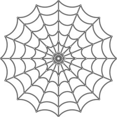 Obraz premium spider web vector