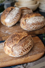 Artisan Batard Sourdough healthy Bread with leaf scoring. Open crumb high hydration Sourdough bread set on white table. - 579360263