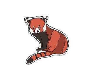 Red panda illustration 