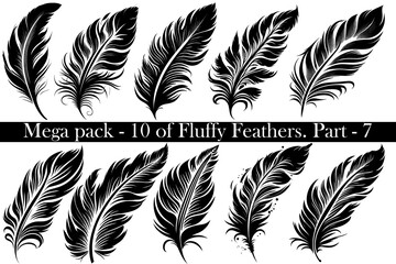 Obraz premium Mega-set pack of 10 vector black Fluffy Feather Silhouette Icon, Set Isolated. Bird Feathers for Logo. White background