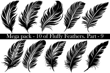 Mega-set pack of  10 vector black Fluffy Feather Silhouette Icon, Set Isolated. Bird Feathers for Logo. White background