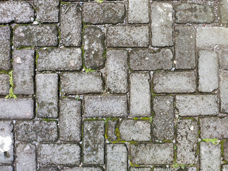 Close Up aged paving blocks texture filled with moss and weeds with Top view background