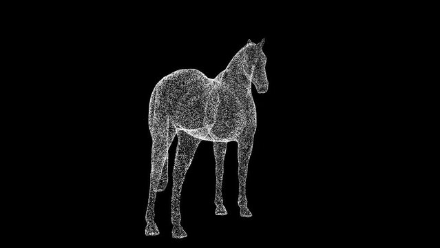 3D horse rotates on black bg. Object dissolved white flickering particles 60 FPS. Business advertising backdrop. Science concept. For title, text, presentation. 3D animation.
