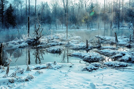 Jilin changbai mountain scenery ma