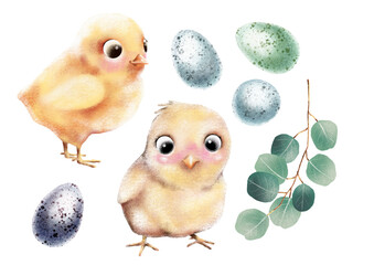 Hand drawn set of easter clip art isolated on transparent background. Easter chickens, eggs and eucalyptus branch with green leaves. © ArtPavo