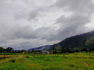 Grasslands and rice fields in the countryside in the caldera valley resulting from the eruption of...