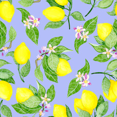 Seamless floral pattern-224, watercolour illustration, hand drawn. Lemon tree branches in bloom, lemon fruits, blue background.