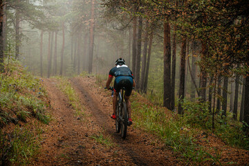 Naklejka premium back athlete cyclist riding mountain bike on forest trail. misty and mysterious woodland. cross-country cycling race