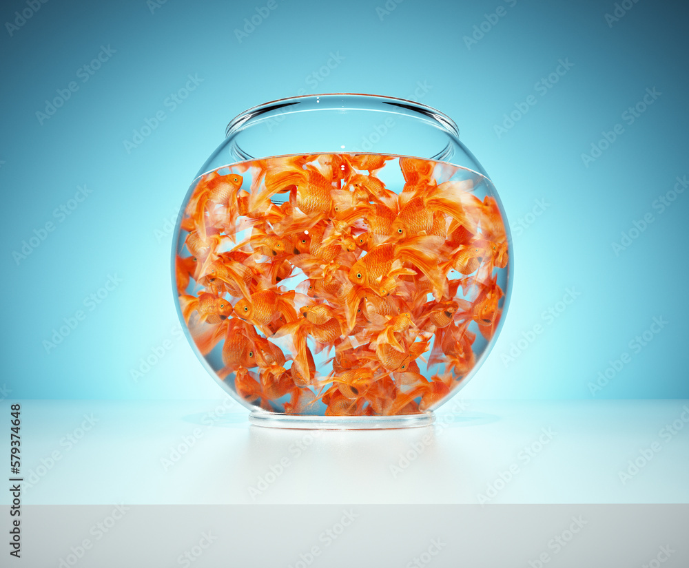 Wall mural Lots of goldfish in bowl on blue background. The concept of captivity. T - Wall murals