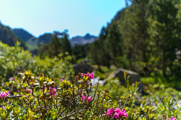 Parc Nacional Aigüestortes Travessa Carros de Foc
Aigüestortes Nacional Park Trekking Pyrenees