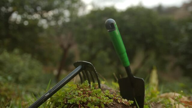 From Earth to Table: Farm and Garden Tools on Lush Green Grass
