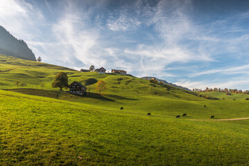 Hilly landscape with farm houses, green meadows and pastures in the Toggenburg Valley, Nesslau, Canton St. Gallen, Switzerland