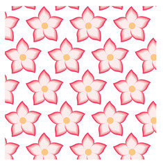 pink and white flowers