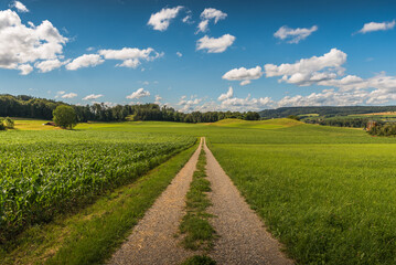 Rural landscape in summer with dirt road and fields, blue sky with white clouds, Canton Thurgau, Switzerland