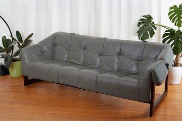 Grey leather Brazian rosewood vintage sofa. 1960s Mid-century Modern living room furniture. Interior scene with a statement piece in front of long white curtains with lively houseplants. 