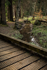Railway track in the woods