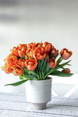 Bouquet of orange tulips in a vase on a blurred light background.