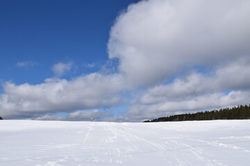 A snowy field under a winter sky, Québec, Canada