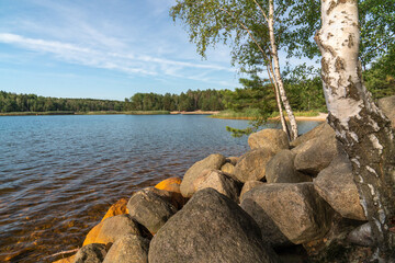 .Beautiful lake Senftenberg in Germany, located among the forest. In the foreground are large stones and birches. Summer day.