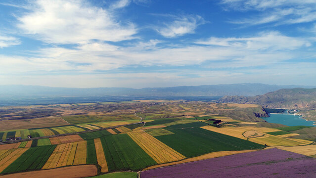 Zhao su earth in xinjiang, colorful, is rich and prosperous