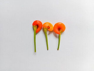 Stunted chili pepper on a white background. Dwarf chili peppers. Chili peppers damaged by the rainy...
