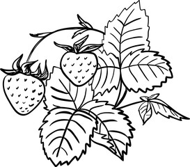 A bush of strawberries on branches, berries, flowers and leaves. Vector hand drawn illustration. Sketch for the design of packaging, labels, decor, paper materials and more.
