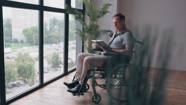 Adult man in wheelchair reading a book near the window of the house