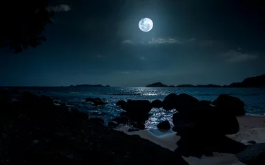Night at beautiful beach with rocks. Tranquil evening over ocean with full moon