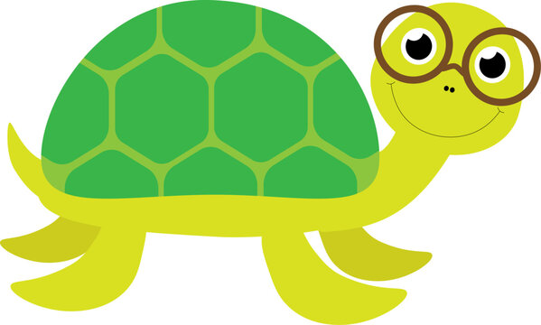 Vector illustration of cute turtle character in glasses in cartoon style
