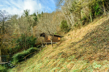 Fototapete bei efototapeten.de bestellen   
