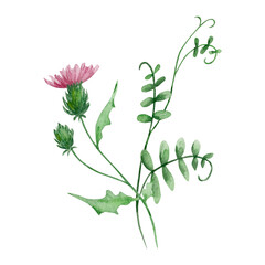 Watercolor bouquet of wildflowers