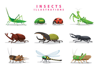 昆虫のイラストSET