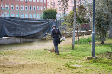 jardinero de espaldas cortando el césped y las malas hierbas