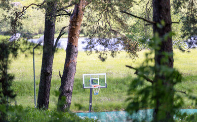 Basketball hoop in the field between trees and blue water background
