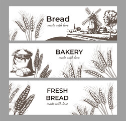 Vector vintage drawing of bread and pastries. Design for banner, flyer, logo, poster. Vector elements on the theme of baking.