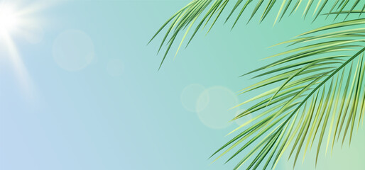 Realistic palm leaves against sky and sun. Summer tropical illustration of green exotic palm tree branches. Vector template for background, wallpaper