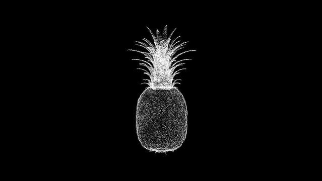 3D pineapple rotates on black bg. Object dissolved white flickering particles 60 FPS. Business advertising backdrop. Science concept. For title, text, presentation. 3D animation.