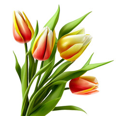 Bouquet of tulips on a transparent background. Png file. Floral arrangement. . For stickers, invitations, greeting cards, wedding card, decorations. 