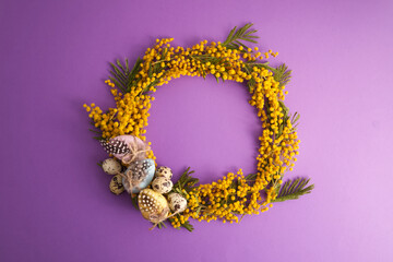 Wreath of mimosa flowers with easter eggs on purple background