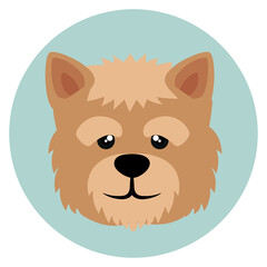 PNG image dog icon in a circle with transparent background