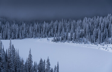 Frozen lake in the forest